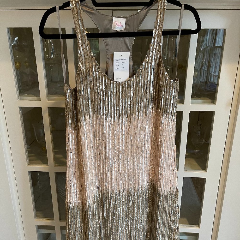 NWT Embellished Parker Dress